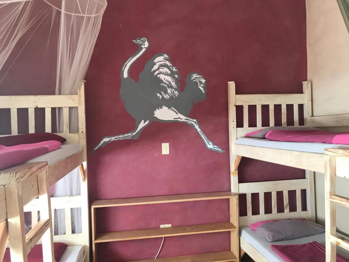 Paradisegarden Backpackers ويندهوك المظهر الخارجي الصورة