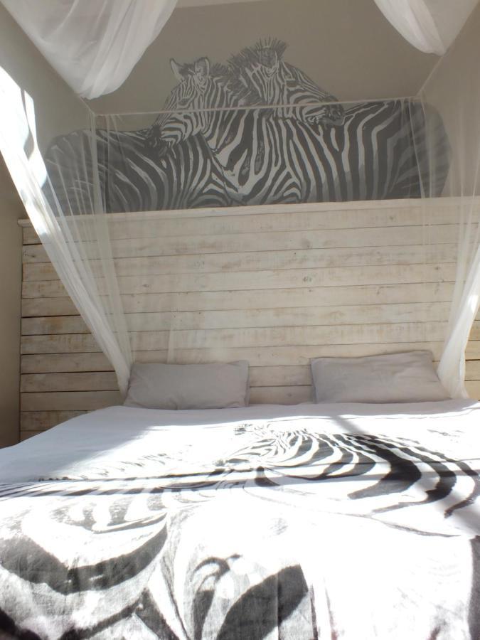 Paradisegarden Backpackers ويندهوك المظهر الخارجي الصورة