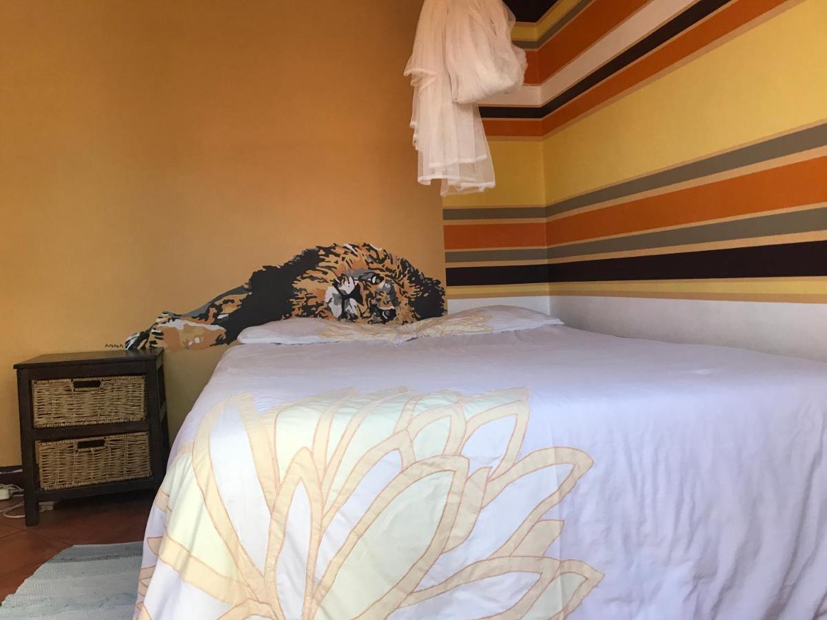 Paradisegarden Backpackers ويندهوك المظهر الخارجي الصورة