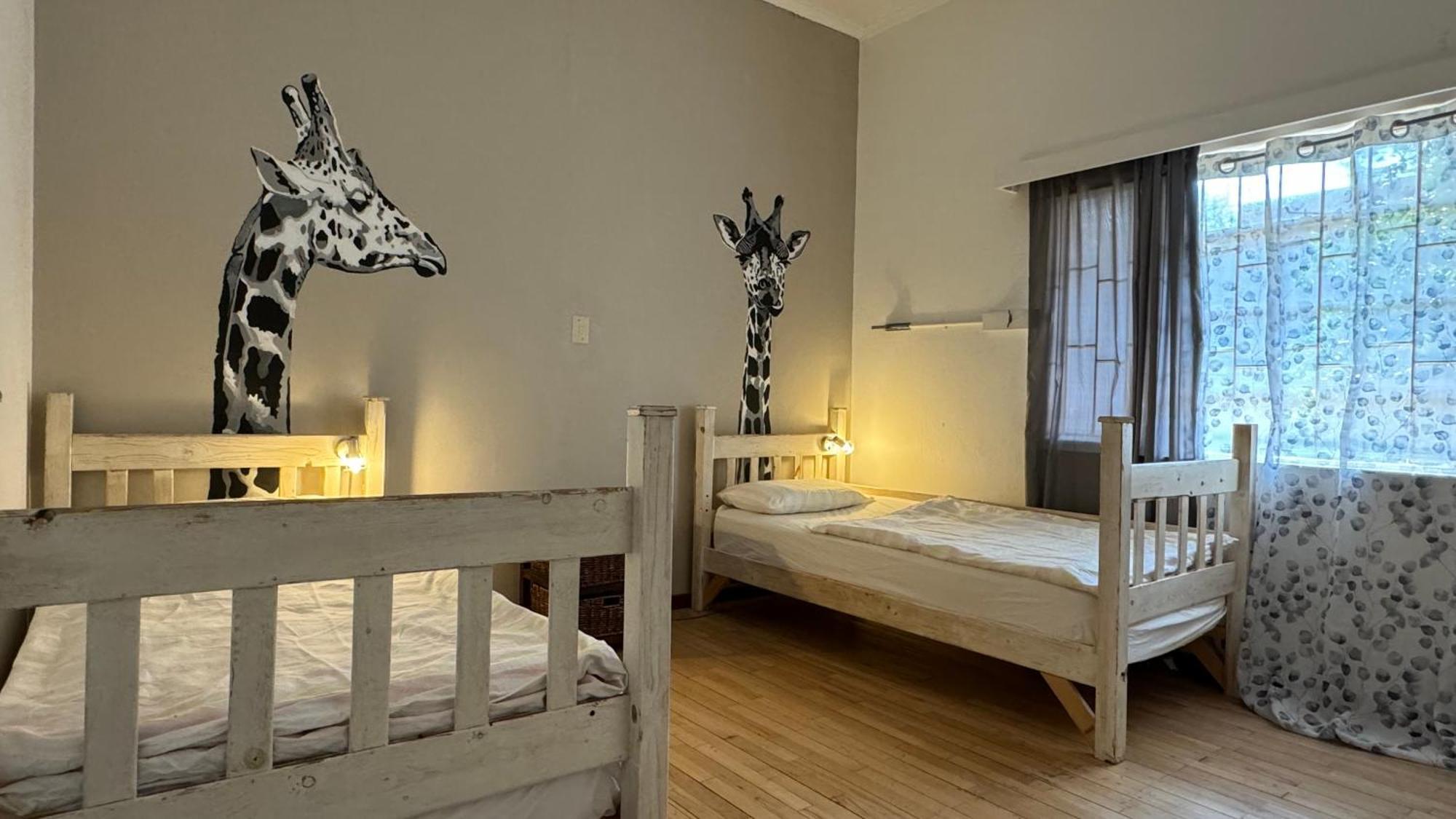 Paradisegarden Backpackers ويندهوك المظهر الخارجي الصورة