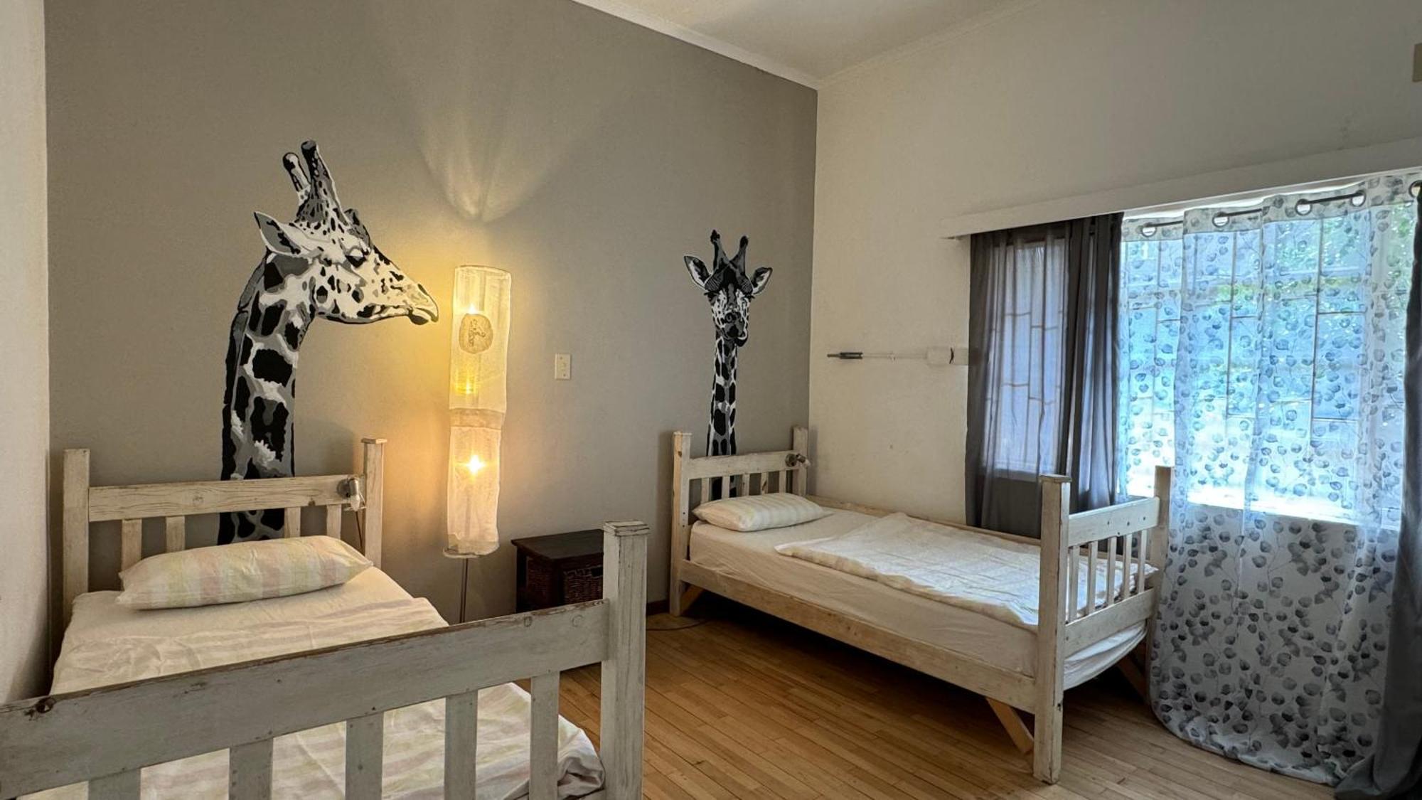 Paradisegarden Backpackers ويندهوك المظهر الخارجي الصورة