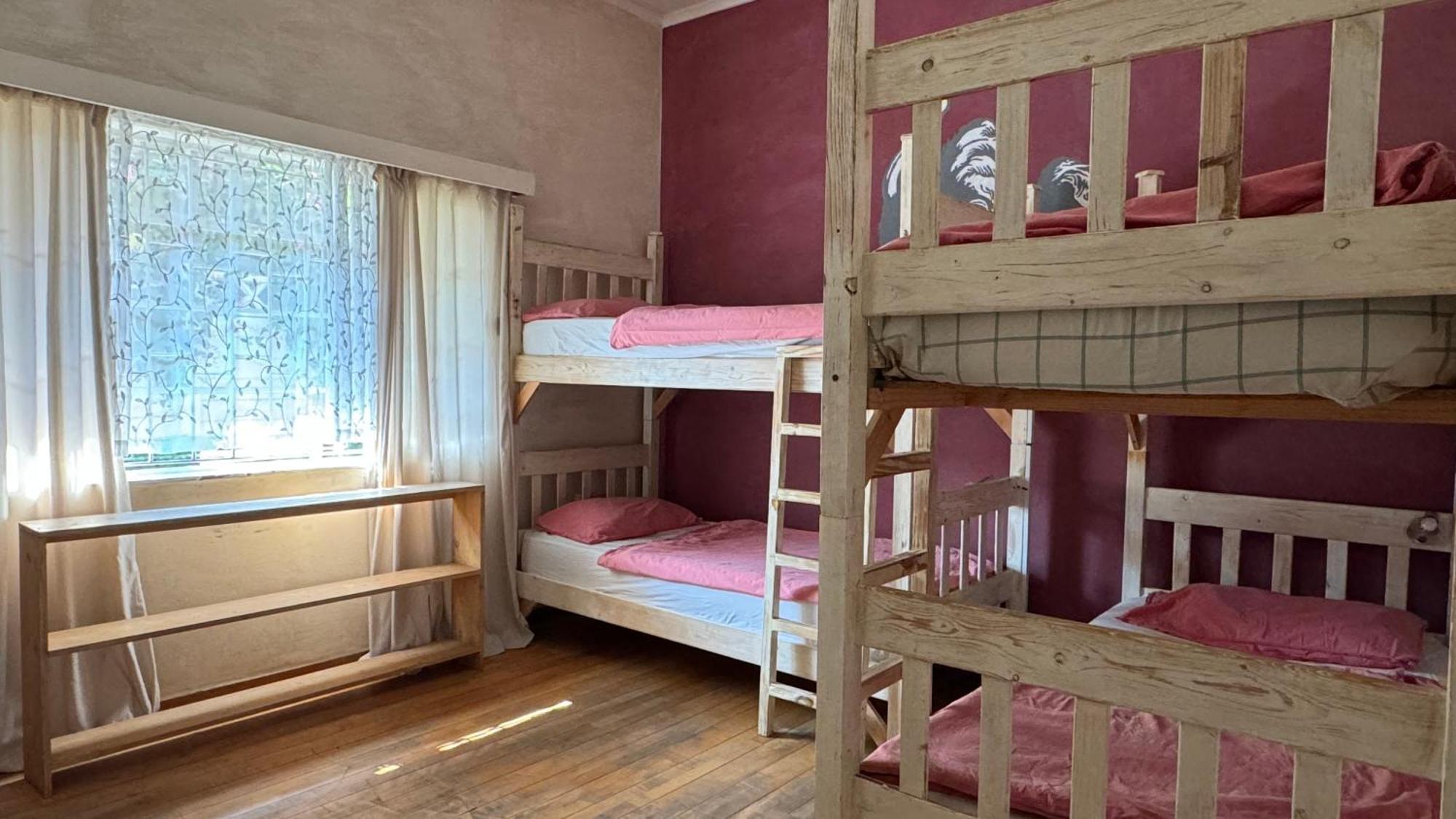 Paradisegarden Backpackers ويندهوك المظهر الخارجي الصورة