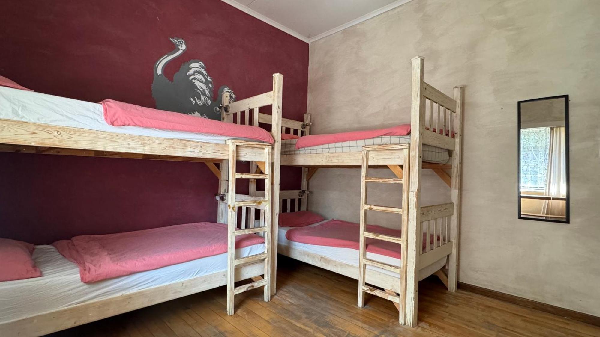 Paradisegarden Backpackers ويندهوك المظهر الخارجي الصورة